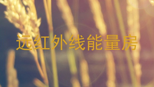 远红外线能量房