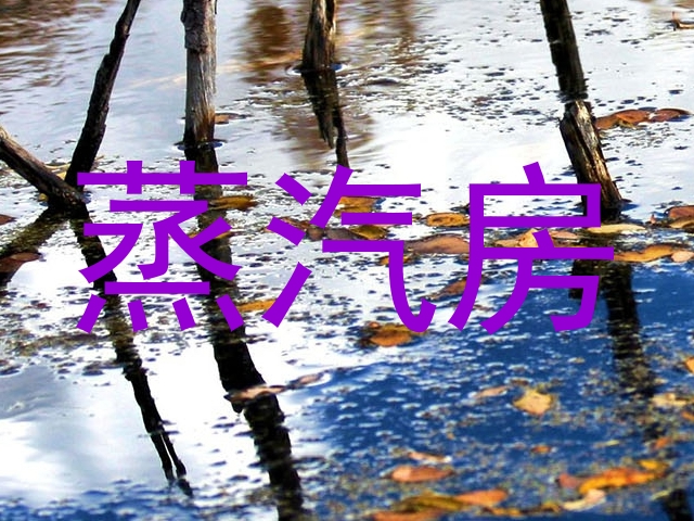 蒸汽房