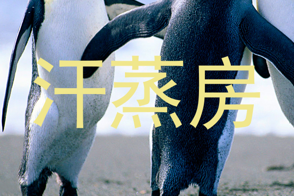 汗蒸房