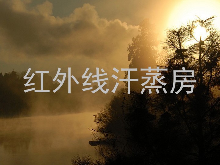 红外线汗蒸房