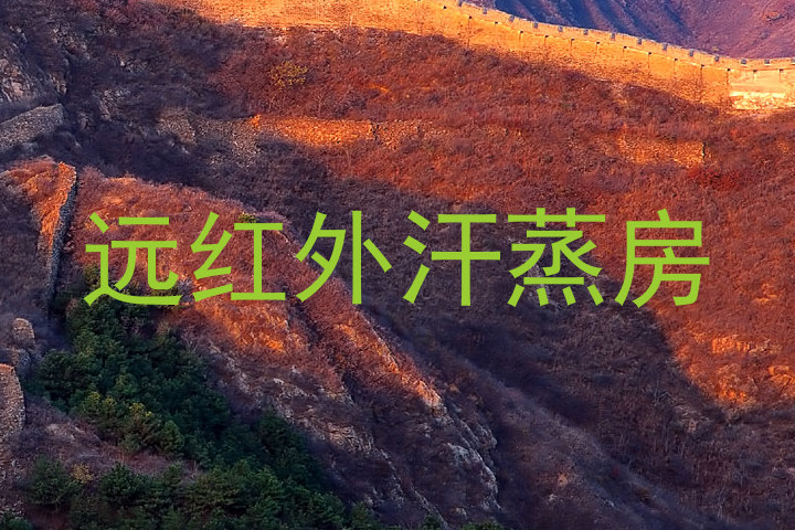 远红外汗蒸房