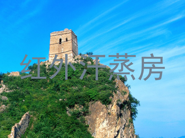红外汗蒸房