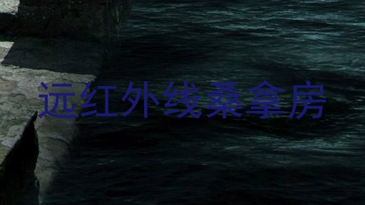 远红外线桑拿房