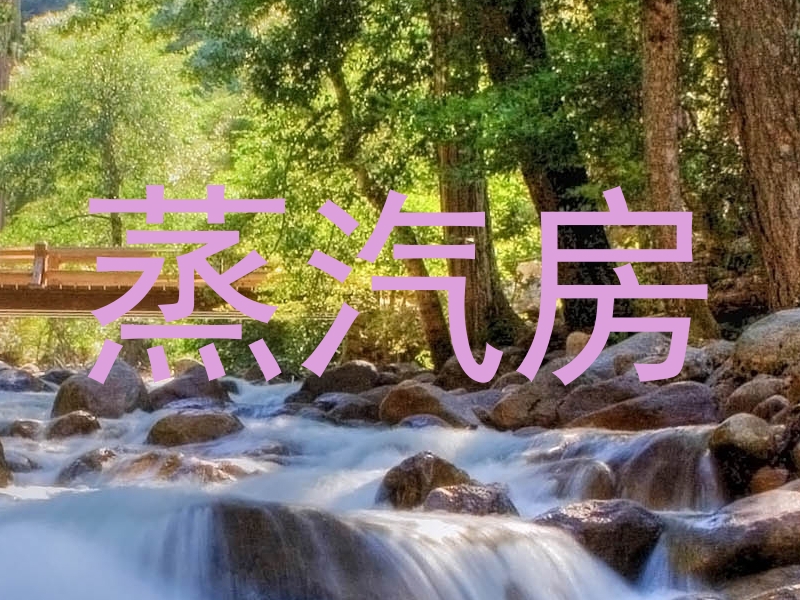 蒸汽房