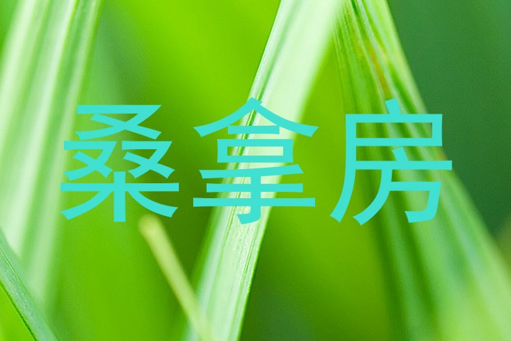 桑拿房