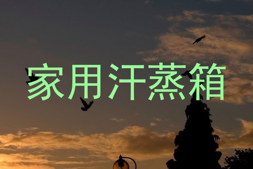 家用汗蒸箱