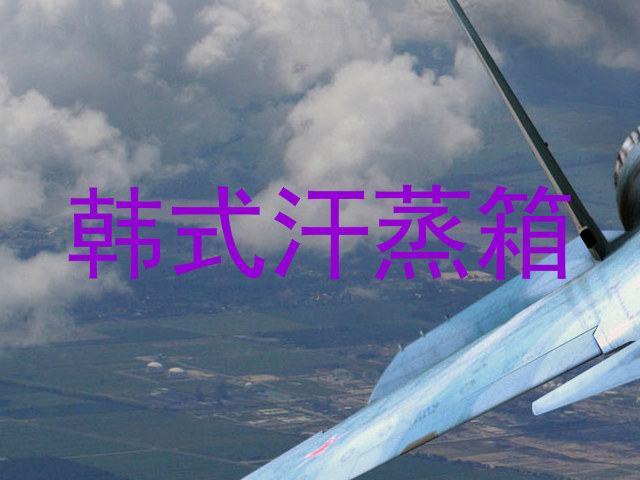 韩式汗蒸箱
