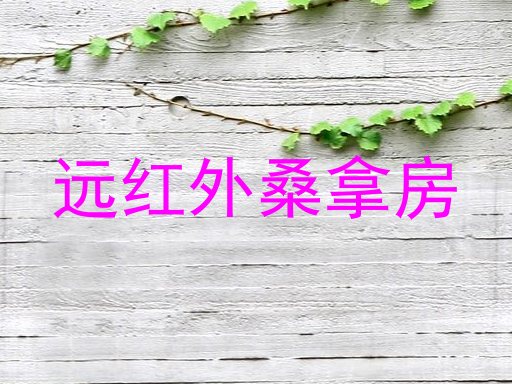 远红外桑拿房