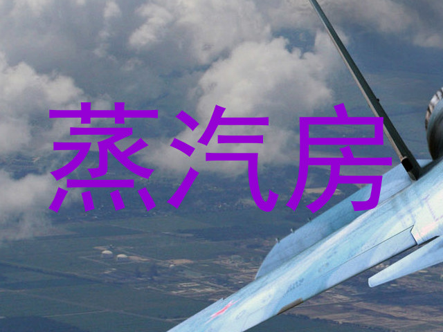 蒸汽房