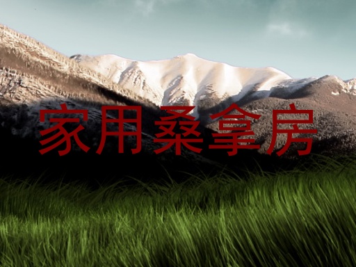 家用桑拿房