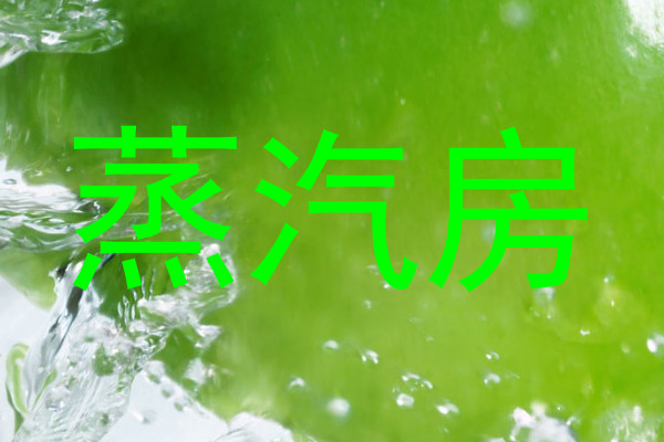 蒸汽房