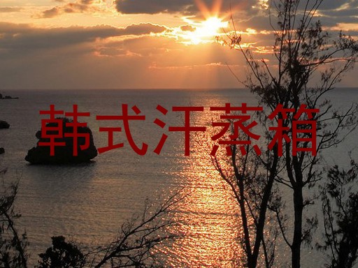 韩式汗蒸箱
