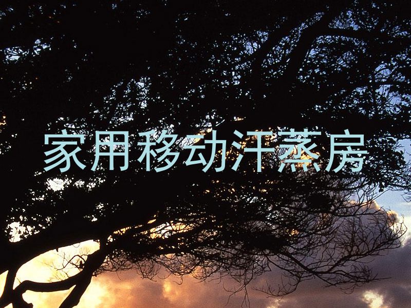 家用移动汗蒸房