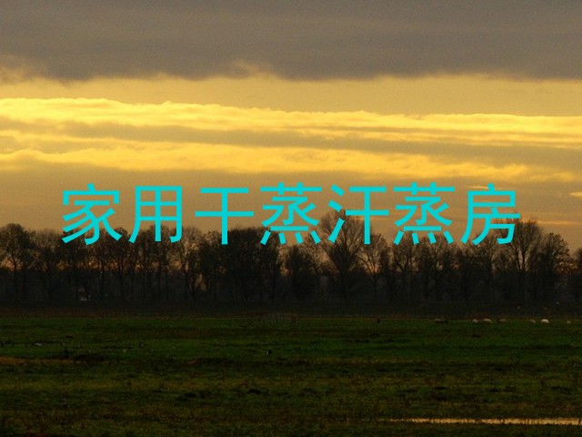 家用干蒸汗蒸房