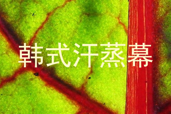 韩式汗蒸幕