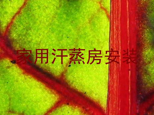 家用汗蒸房安装
