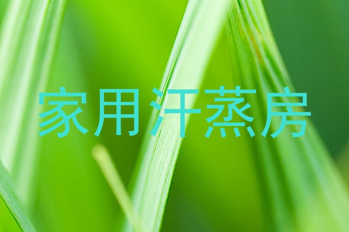 家用汗蒸房