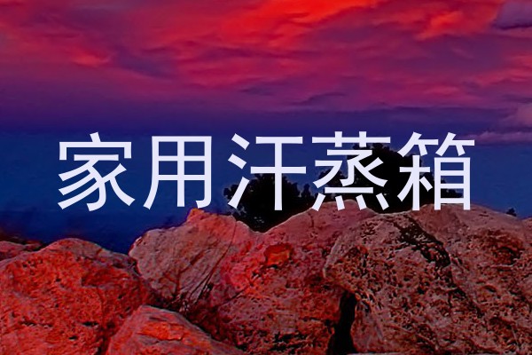 家用汗蒸箱