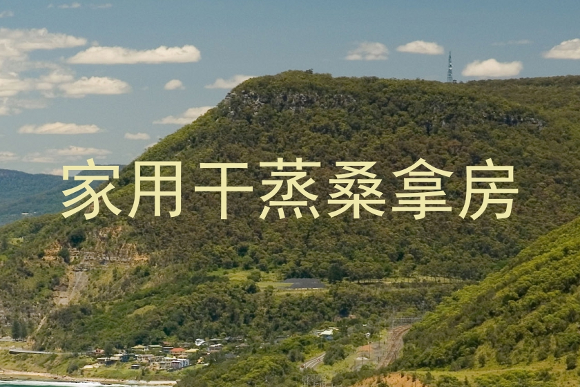 家用干蒸桑拿房