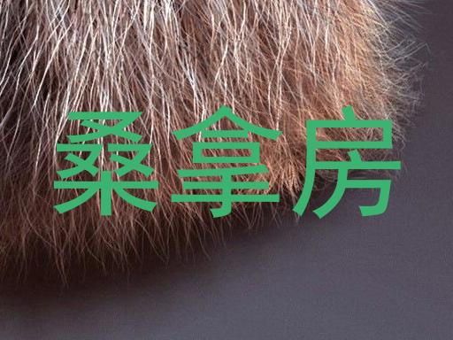 桑拿房