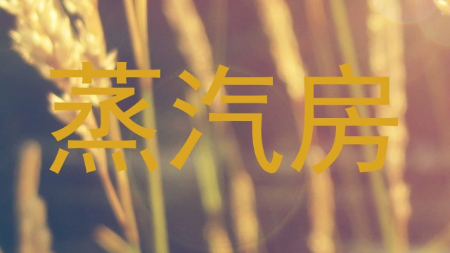 蒸汽房