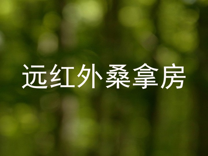 远红外桑拿房