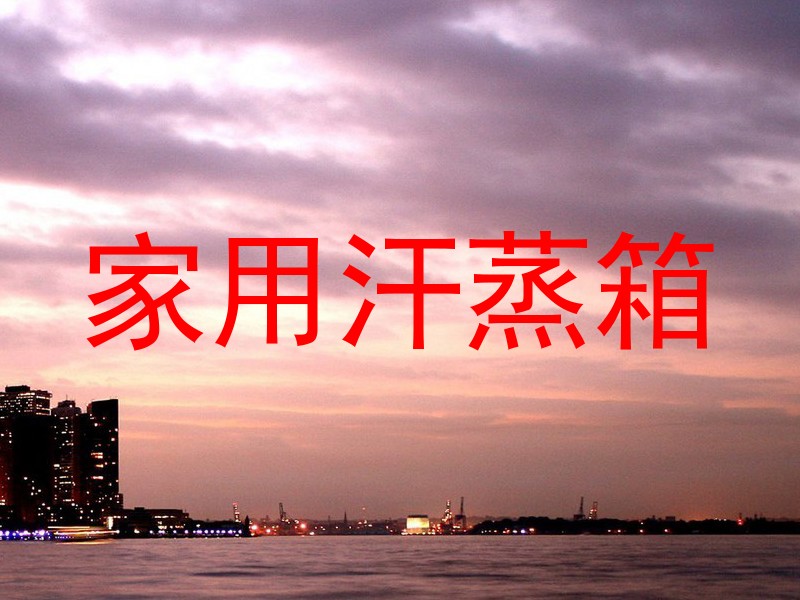 家用汗蒸箱