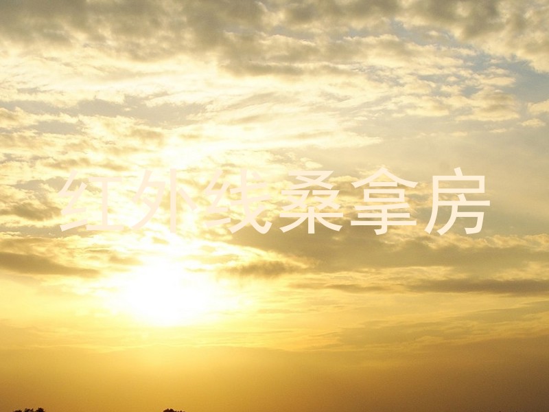红外线桑拿房