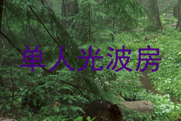 单人光波房