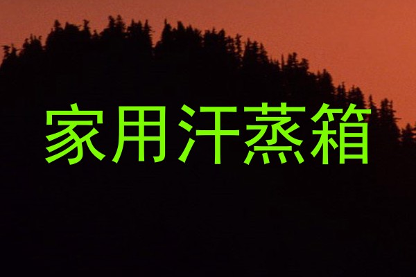 家用汗蒸箱
