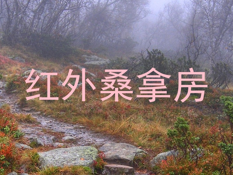 红外桑拿房
