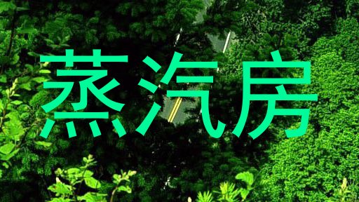 蒸汽房
