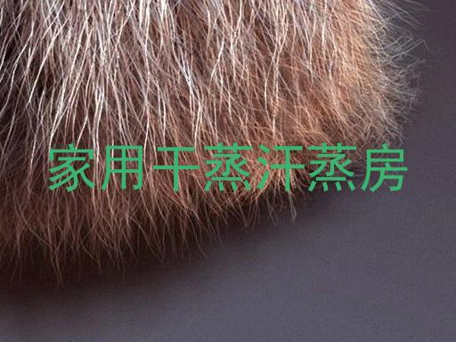 家用干蒸汗蒸房