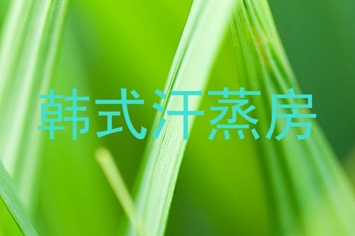 韩式汗蒸房