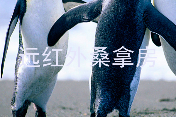 远红外桑拿房