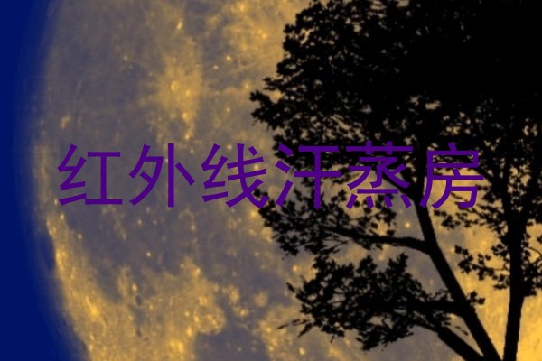 红外线汗蒸房