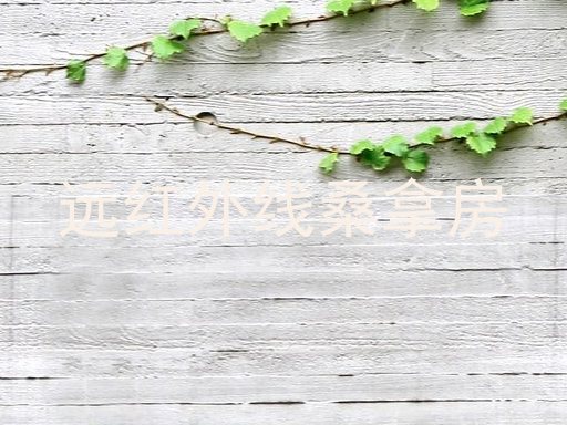 远红外线桑拿房