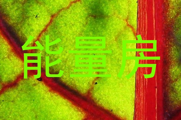 能量房