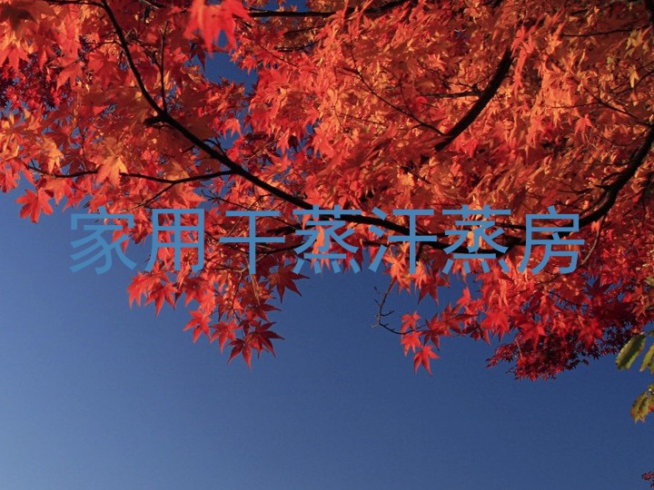 家用干蒸汗蒸房