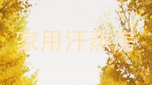 家用汗蒸房