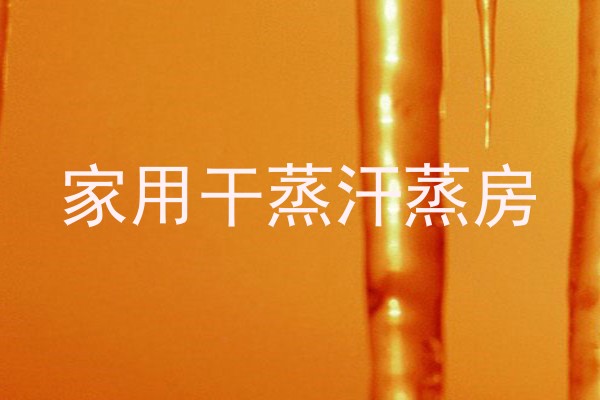 家用干蒸汗蒸房