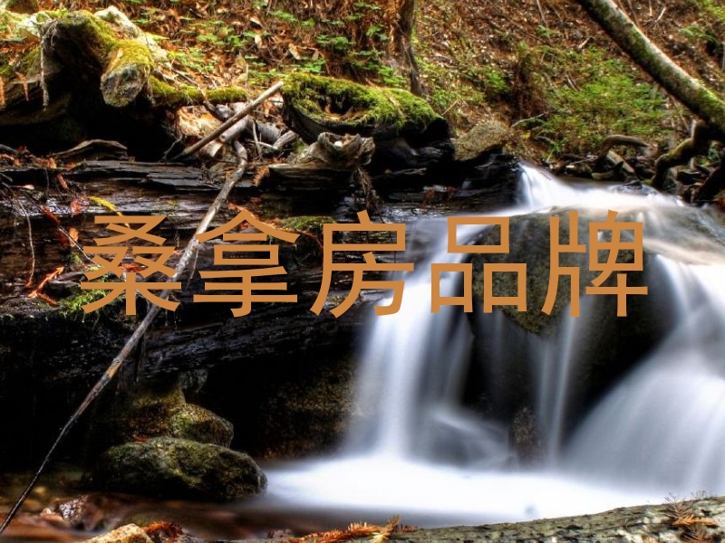 桑拿房品牌