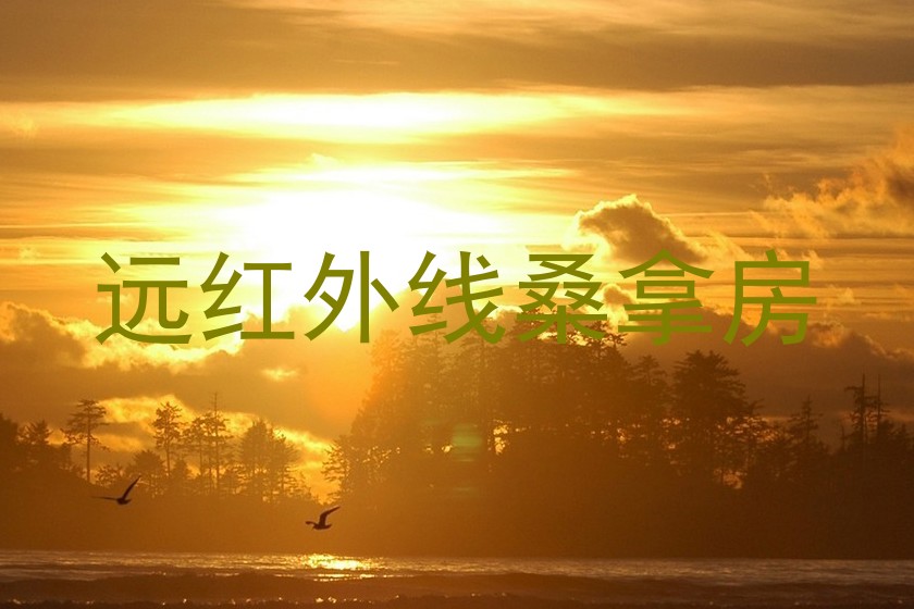 远红外线桑拿房