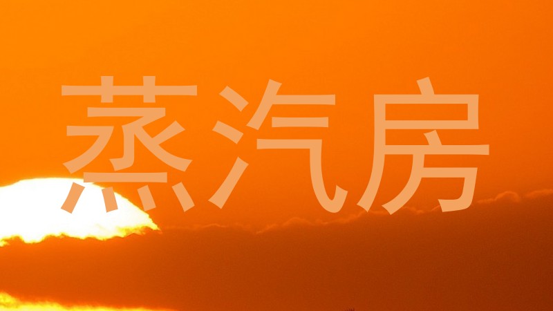 蒸汽房
