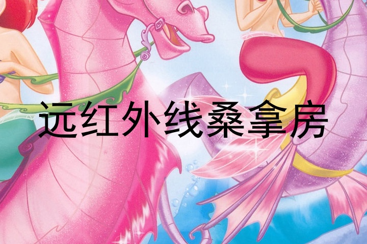 远红外线桑拿房