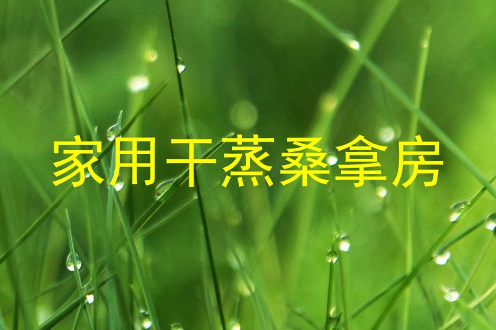 家用干蒸桑拿房