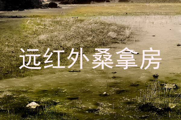 远红外桑拿房