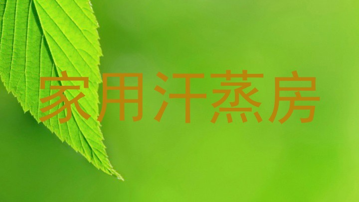 家用汗蒸房