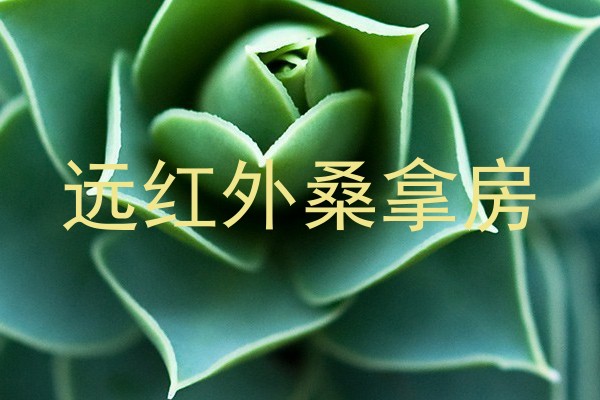 远红外桑拿房