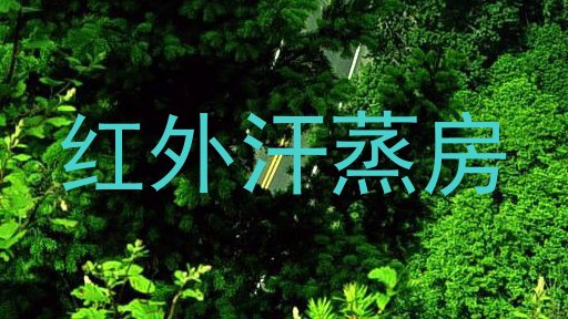 红外汗蒸房